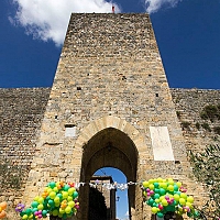 Monteriggioni-Un-fiore-di-castello-2017/1_1495819333.jpg