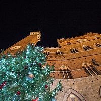 accensione-albero-2017/accensione_albero_di_natale_piazza_del_campo_siena_-_17_dic_2017-_101_1514985655.jpg