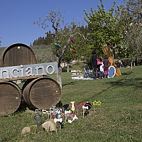 primavera-cinciano-2017/img_7506_1492101376.jpg